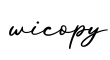 单词wicopy书写