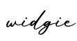 单词widgie书写