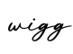 单词wigg书写