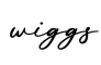 单词wiggs书写