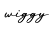 单词wiggy书写