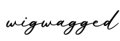 单词wigwagged书写