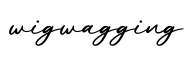 单词wigwagging书写