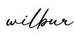 单词wilbur书写