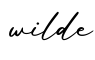 单词wilde书写