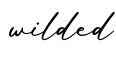 单词wilded书写
