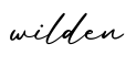单词wilden书写
