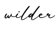 单词wilder书写