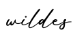 单词wildes书写