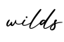 单词wilds书写