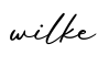 单词wilke书写