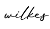 单词wilkes书写