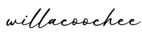 单词willacoochee书写