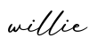 单词willie书写