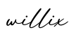 单词willix书写