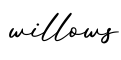 单词willows书写