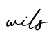 单词wils书写