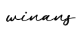 单词winans书写