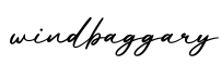 单词windbaggary书写