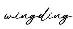 单词wingding书写