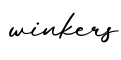 单词winkers书写