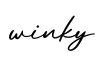 单词winky书写