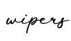 单词wipers书写