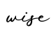 单词wise书写