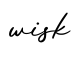 单词wisk书写