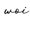 单词woi书写