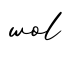单词wol书写