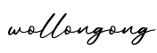 单词wollongong书写