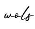 单词wols书写