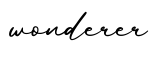 单词wonderer书写