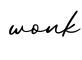 单词wonk书写