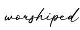 单词worshiped书写