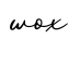 单词wox书写