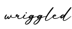 单词wriggled书写