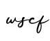 单词wscf书写