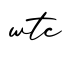 单词wtc书写