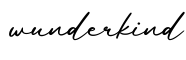 单词wunderkind书写