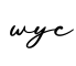 单词wyc书写