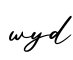 单词wyd书写