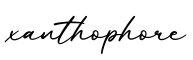 单词xanthophore书写