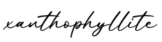 单词xanthophyllite书写