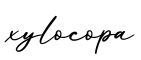 单词xylocopa书写