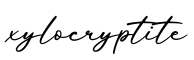单词xylocryptite书写