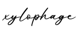 单词xylophage书写
