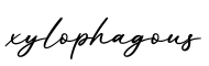 单词xylophagous书写
