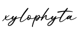 单词xylophyta书写